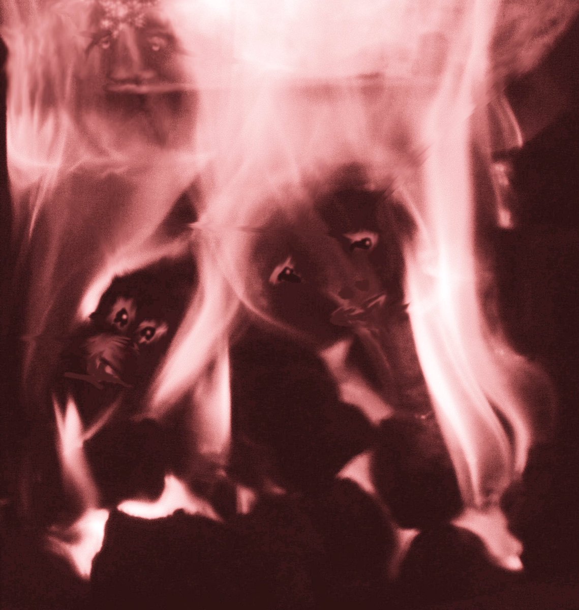 edgar broughton tweet media