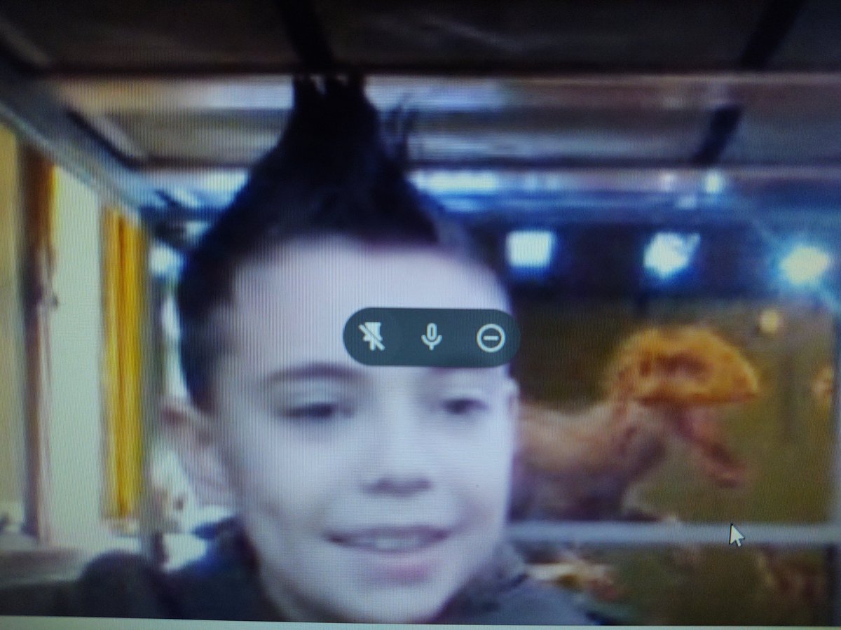 Pencils4Pollak's tweet photo. Crazy Hair #RedRibbonWeek2020 https://t.co/gdRjAVTapC