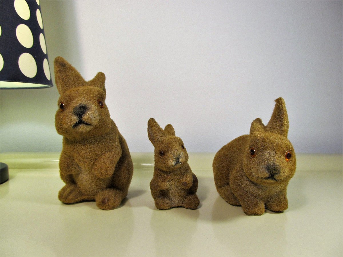 MaLanterne's tweet photo. 3 Vintage Flocked Bunnies Vintage Easter Bunnies Flocked Animals Dolls Easter Bunny Gift Retro Kitsch 70s https://t.co/9obDtyb2Iv #BlackFriday #Retro #Christmas #covid-19 #FREESHIPPING #Vintage Fashion #Wedding #GIFT #Mask #Vintage #RetroEaster https://t.co/4Xfze1rd2P