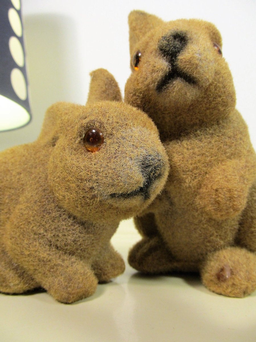 MaLanterne's tweet photo. 3 Vintage Flocked Bunnies Vintage Easter Bunnies Flocked Animals Dolls Easter Bunny Gift Retro Kitsch 70s https://t.co/9obDtyb2Iv #BlackFriday #Retro #Christmas #covid-19 #FREESHIPPING #Vintage Fashion #Wedding #GIFT #Mask #Vintage #RetroEaster https://t.co/4Xfze1rd2P