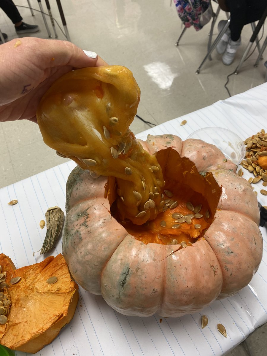 AZepol7's tweet photo. We went for it today and did all of the pumpkin things! In between lessons we put away the technology and did a few hands on activities π§‘ Pumpkin guts slime and painting their personal pumpkins π #nisdlegends #scobee #pumpkincrafts #iteachtoo #iteachfourth https://t.co/B68Tv1YIvS