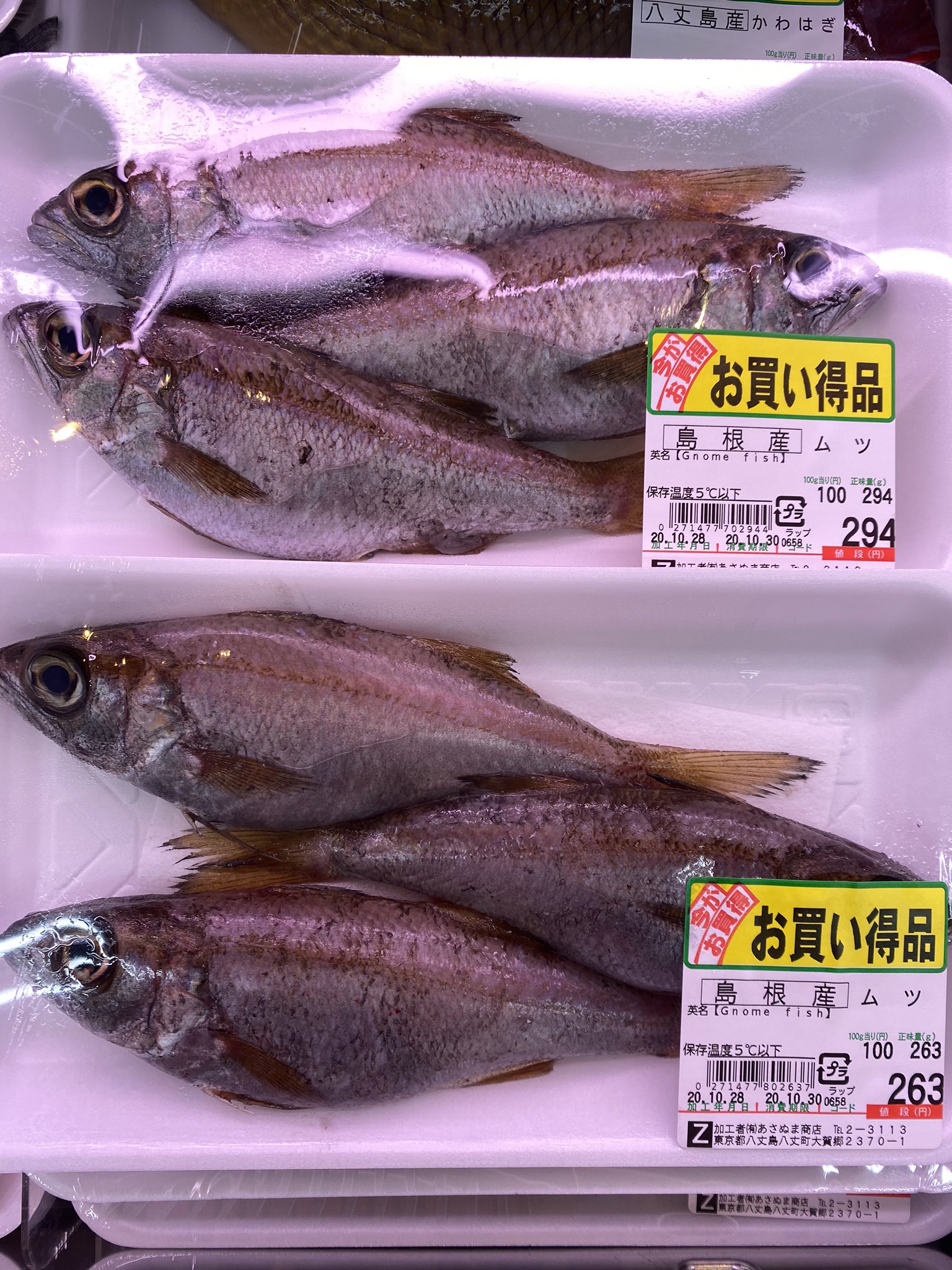 Kurumikanmo Kurumikanmo8jo Twitter