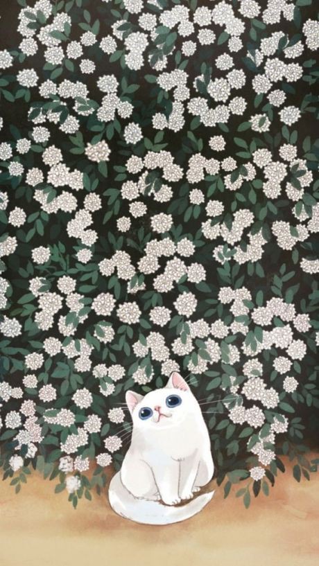 𝐜𝐚𝐭𝐜𝐡𝐢 tweet media