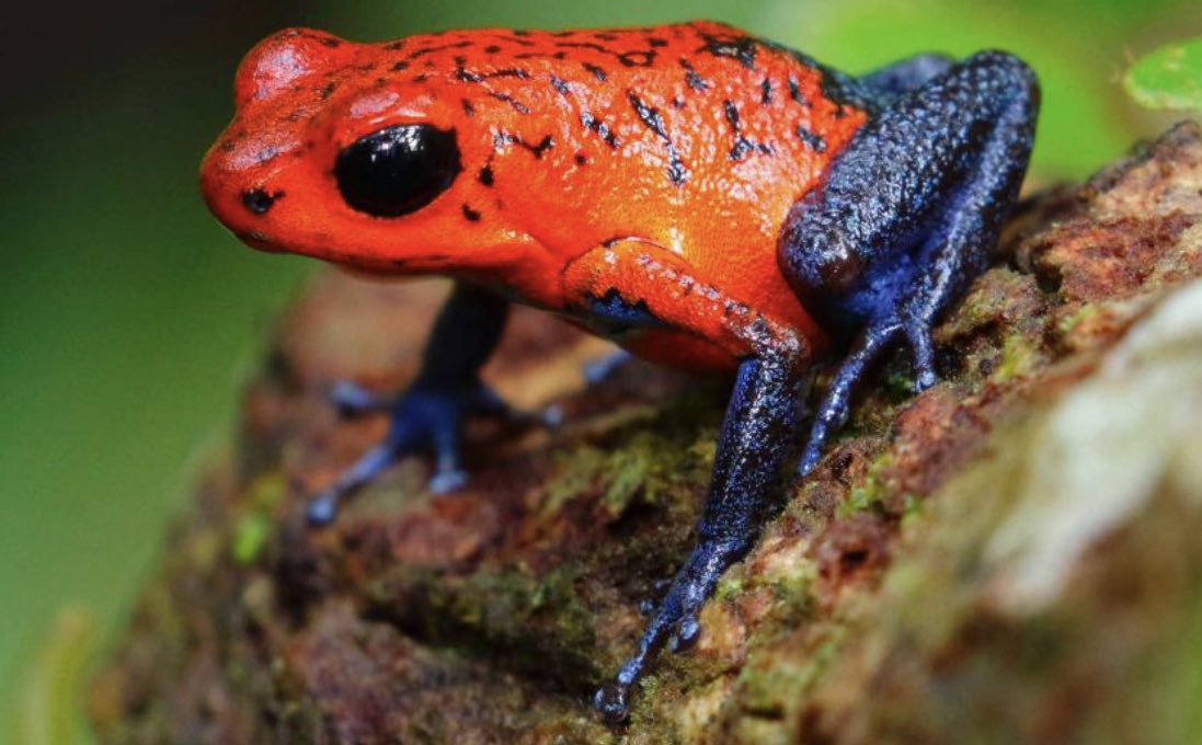 I feel unkind and toxic.. but still cute?