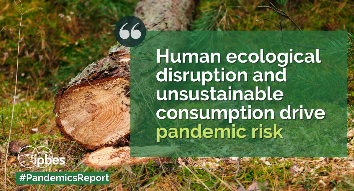 Biodiversity loss related to the change of landscapes can increase emerging disease risk &amp; in some cases lead to zoonotic transmission. - 🆕 <a href="/IPBES/">ipbes</a> #PandemicsReport: ipbes.net/pandemics