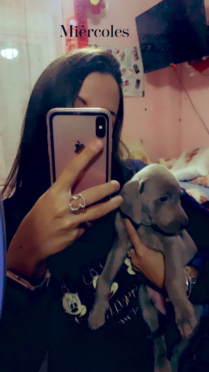 MariaaaBustos's tweet photo. Enamorada de ti ❤️ https://t.co/CmxW3YOMdY