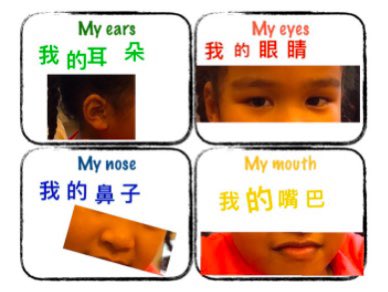 Our PP friends can introduce their body parts in Mandarin now! #StamfordHK #CognitaWay