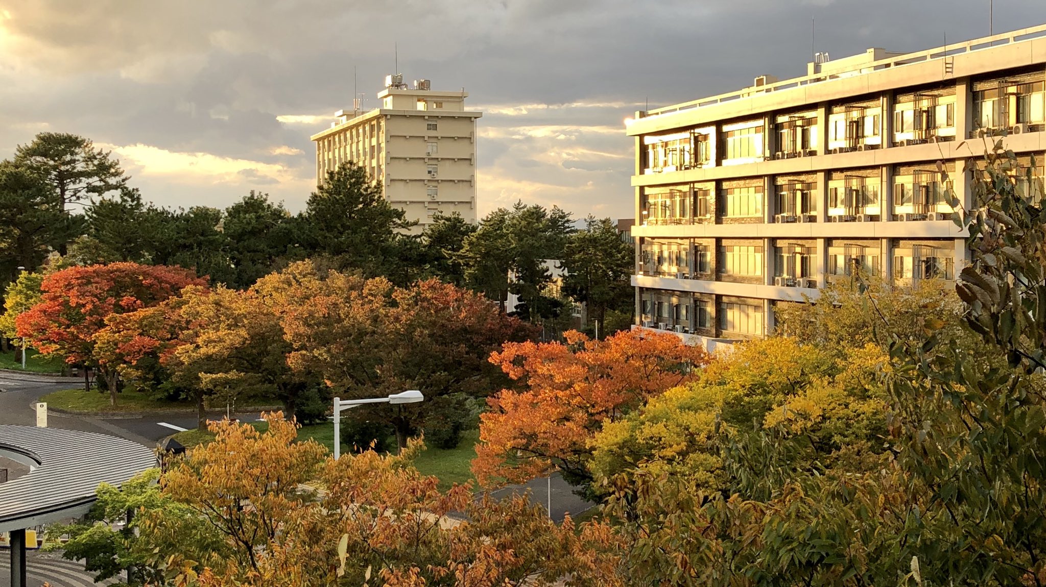 新潟大学 雲の隙間から西日が差し込む 夕暮れの時間を迎えた五十嵐キャンパス 木々も徐々に色付き始めています T Co 3p4t5t7he3 Twitter