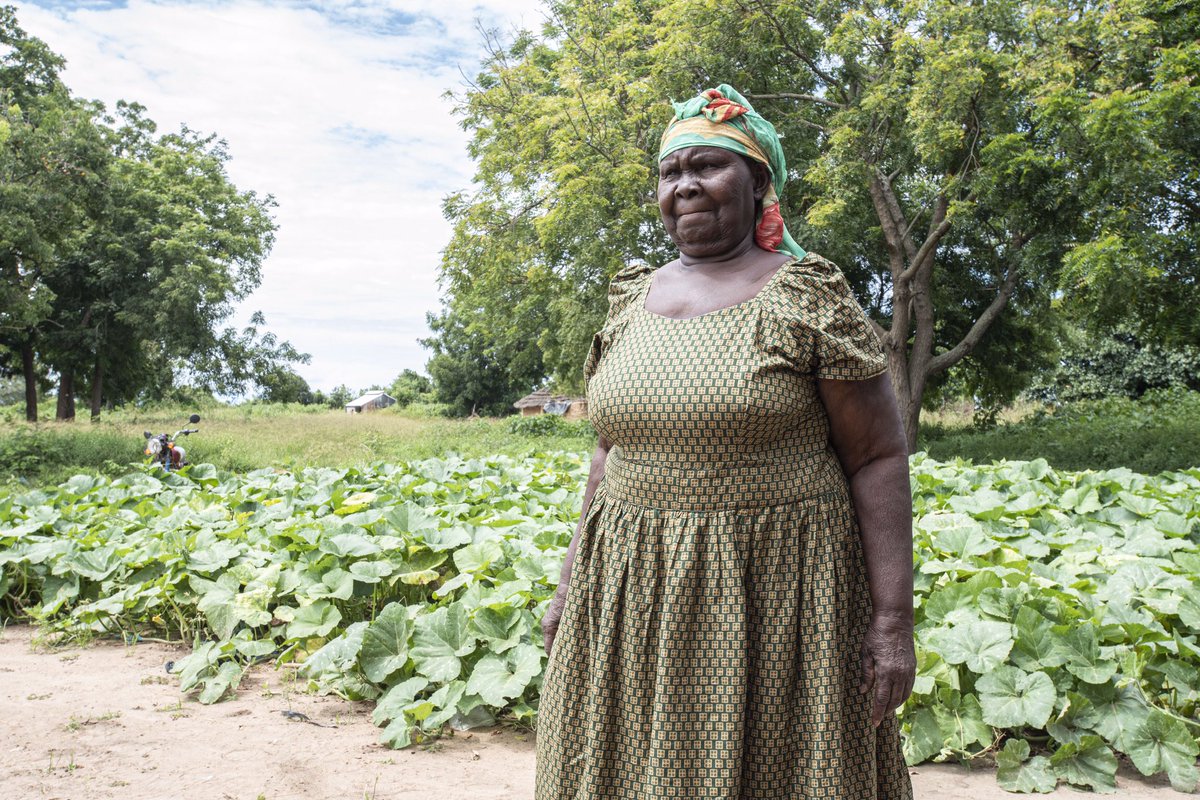 fff_whk's tweet photo. @Total's oil madness is sowing despair and fear in Uganda and Tanzania. 100,000 people, deprived of their land with no compensation yet, say that they now struggle to feed their families and pay school fees.#StopCorporateImpunity
#StopEACOP #bindingtreaty
#TotalInCourt https://t.co/35BzEgK2XW