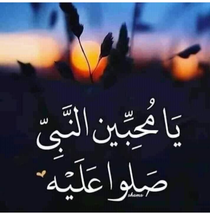 Muslimbetheone's tweet photo. *﷽*
O, sight if the skies😘
O, blossoms of the earth. Come lets rejoice in the celebration the esteemed *PROPHET_MOHAMMAD* *(ﷺ)* 🌹has arrived.
The king of the messengers *MOHAMMAD* *(ﷺ)* has arrived. 🌹
🌹لبّیک يَا رَسُول ٱللَّٰه🌹
💚مرحبا يَا رَسُول ٱللَّٰه💚 https://t.co/X26RUZzcNo