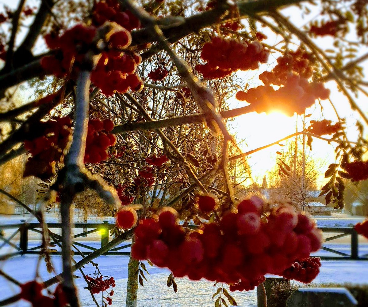 PiteaSG's tweet image. Wish you a good weekend. 
Please, keep the head clear, the hands clean and a warm heart.

#football #pitea #piteasg #midnightsun #wellmeetagain