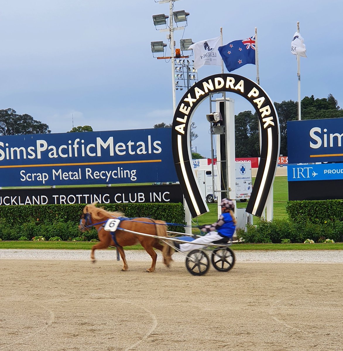 The second and final Kidz Kartz race tonight is won by Pumpkin and Gemma! Gemma won a Kidz Kartz race last week as well!