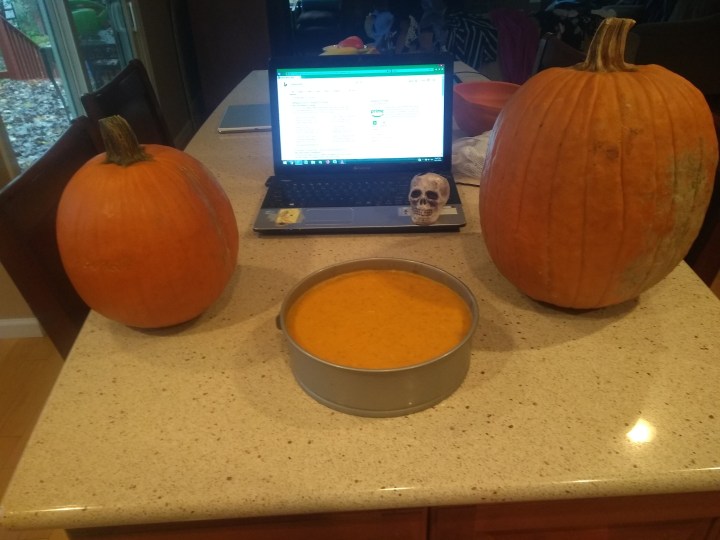 Fox shares his delicious and perfect #Pumpkin #Cheesecake #recipe. Take care to follow the cooling steps. #Bake in a steam bath then leave the oven door open to let it all cool slowly.
Perfect for #Halloween or #Thanksgiving
#Cooking #PumpkinSpice
https://t.co/de7ZRf7ENZ https://t.co/qd7kIZccMf
