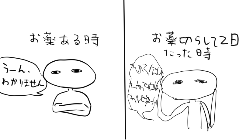 お薬切らすと軽く自我が崩壊するので切らさないようにな
(個人差があります) 