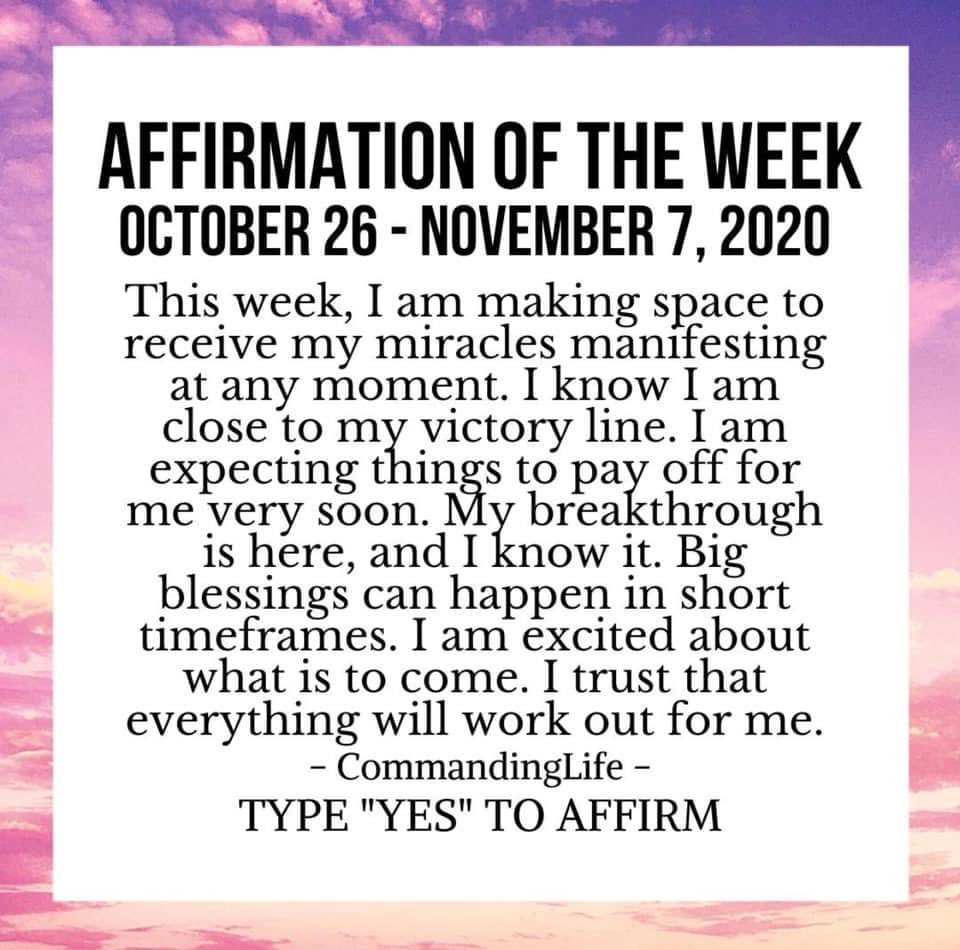 SCIsraelLady's tweet image. 