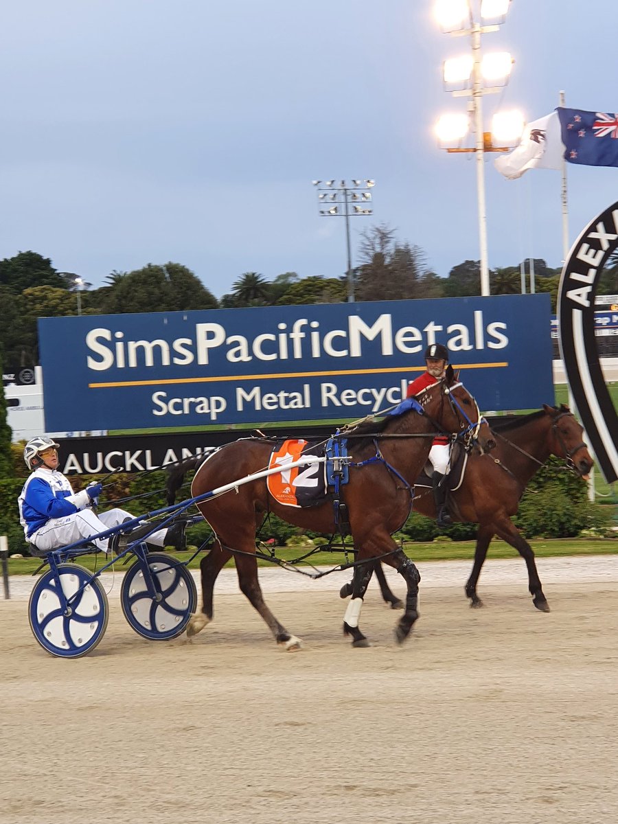 AlexandraPark's tweet photo. Race 4, Taipo and driver Todd Mitchell take out the competition! A win for trainer Arna Donnelly. https://t.co/4YQhIMUQLq