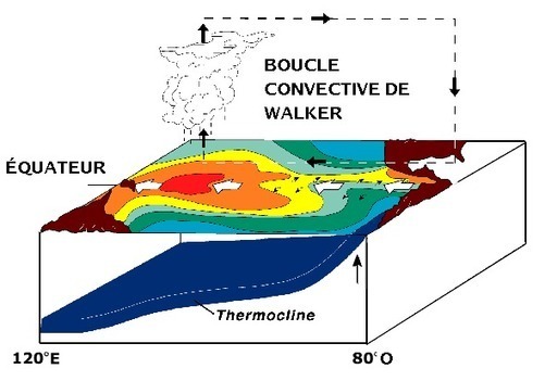Un #réchauffement accru par le #gradient de #température dans le #Pacifique –
https://t.co/kJtG4dT3il https://t.co/slHZZbs35n