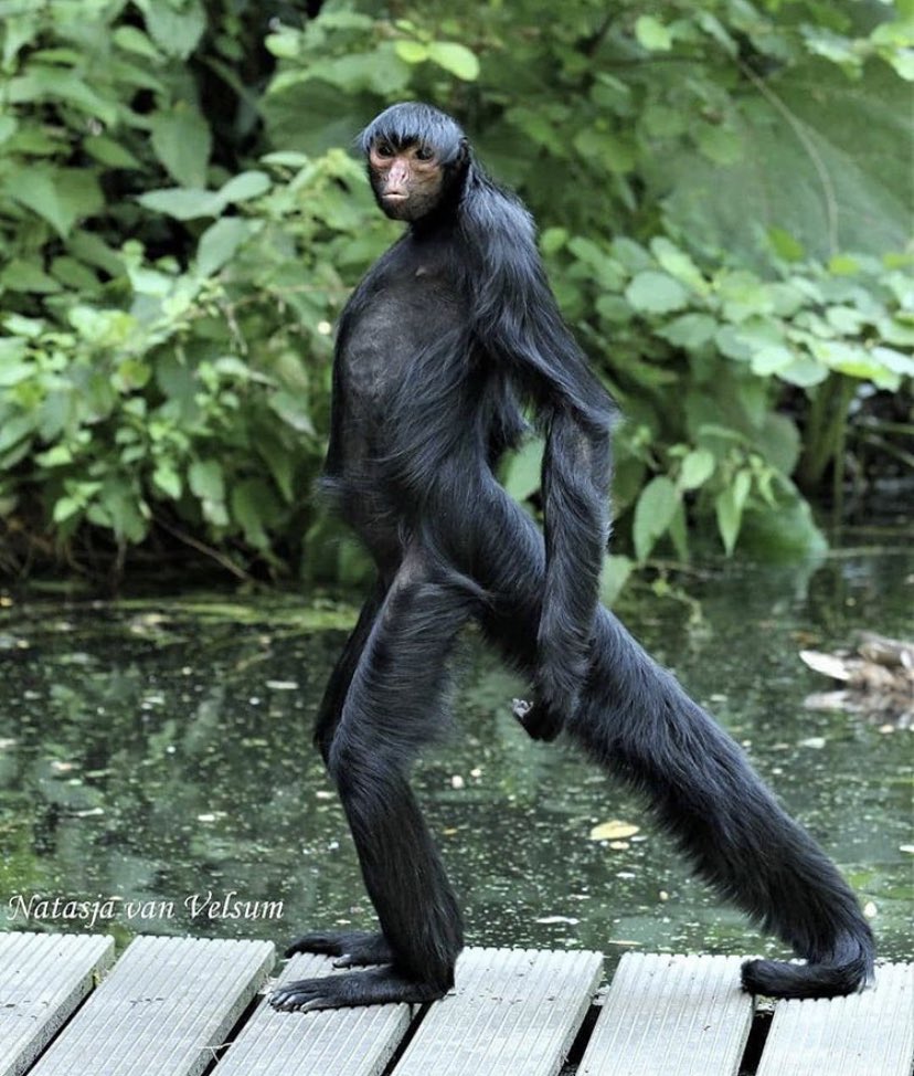 Me trying to look sexy for a picture
#PhDLife #Selfie #FridayThoughts https://t.co/EuWFq2DTap
