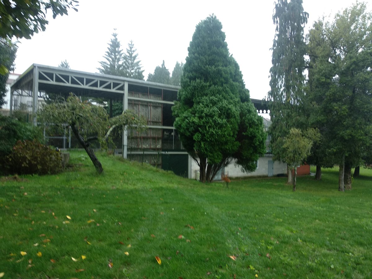 ✨🎶
O espazo musical e gastronómico do Mercado será este ano no Centro don Bosco, ao carón da nosa querida Rúa de San Pedro! Nesta edición tan especial adaptaremos os nosos contidos para que poidades facer brindes seguros en mesas grupais cos vosos máis achegads!
🍔✨