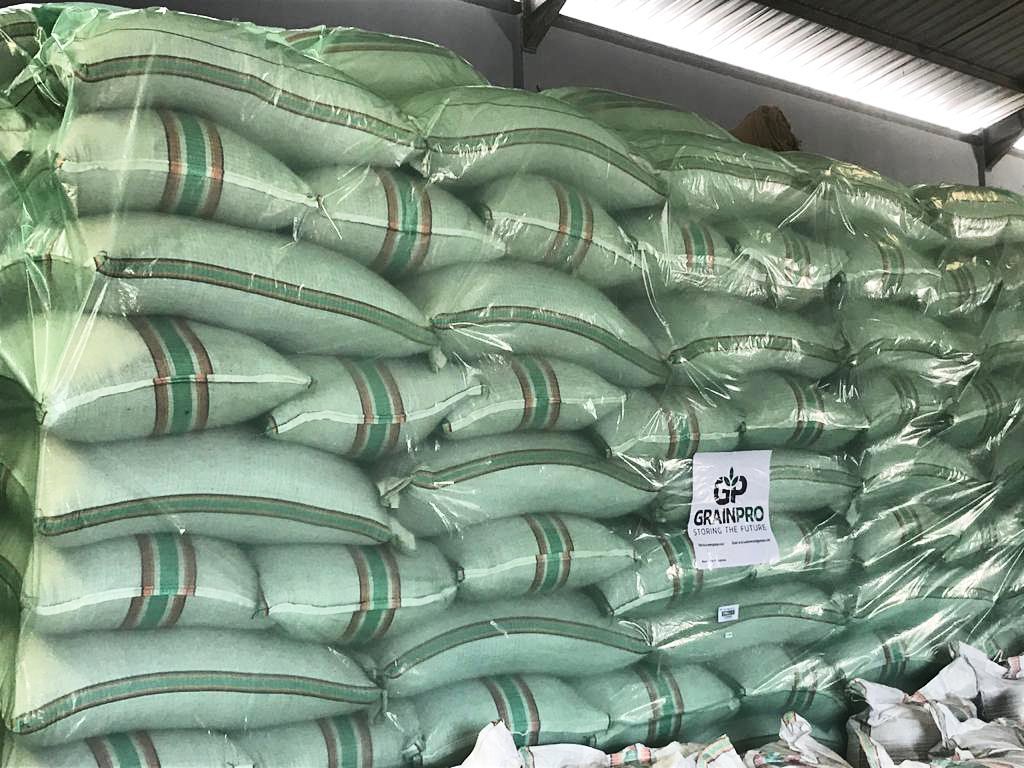 grainproinc's tweet photo. Proper storage of your commodities is one of the important things to consider in order to protect and preserve the quality of  your harvests most especially during these uncertain times. 🛡️🛡️🛡️

Learn more here: https://t.co/Pv0hFv0vnm 

#Coffee 
#SpecialtyCoffee 
#CoffeeStorage https://t.co/NMXhXiwJAF