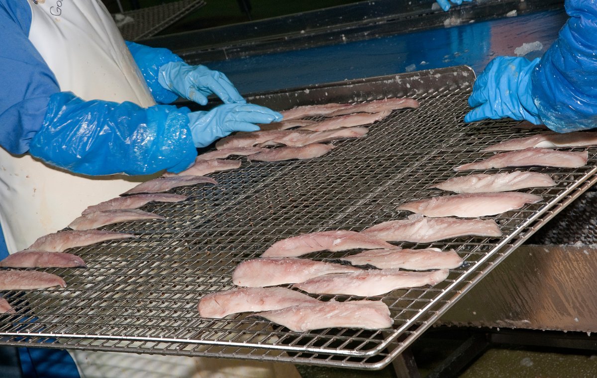 Aberdeenshire Council tweet media