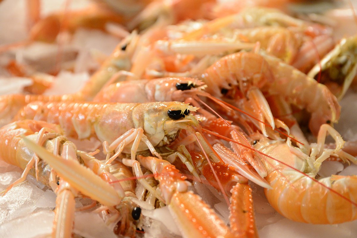 Aberdeenshire Council tweet media