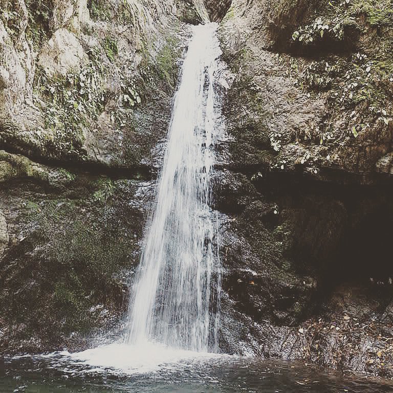 そしてやはり滝や渓流は外せない
#御岳山 #滝 #渓流 https://t.co/eZxjUHxceC