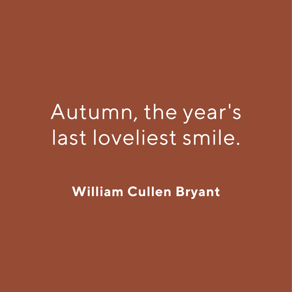 Wild & Wolf tweet media