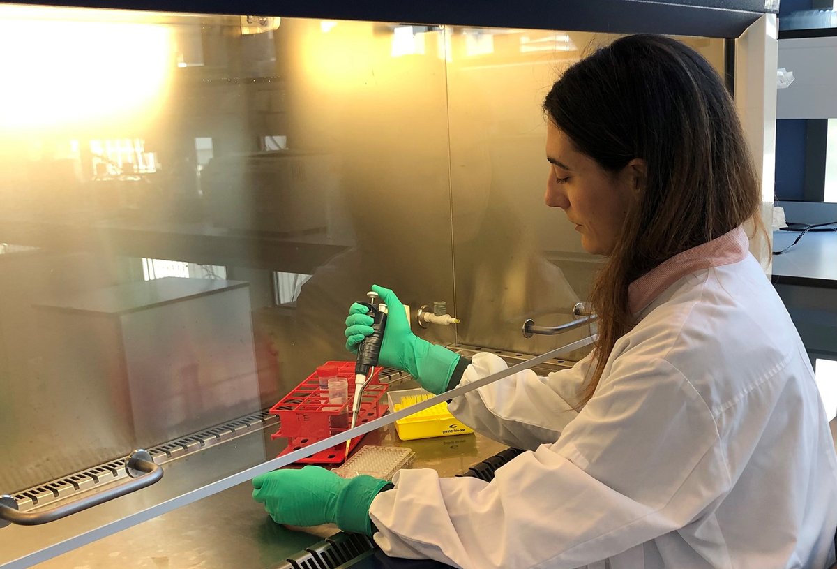 Sanagen heeft een lening van €300.000 ontvangen van het Innovatiefonds Noord-Holland voor verdere ontwikkeling van een gentherapieplatform waarmee  verschillende stollingsziekten behandeld kunnen worden. Sanquin is belangrijke partner in dit ontwikkelingsproject. 

#sanquin