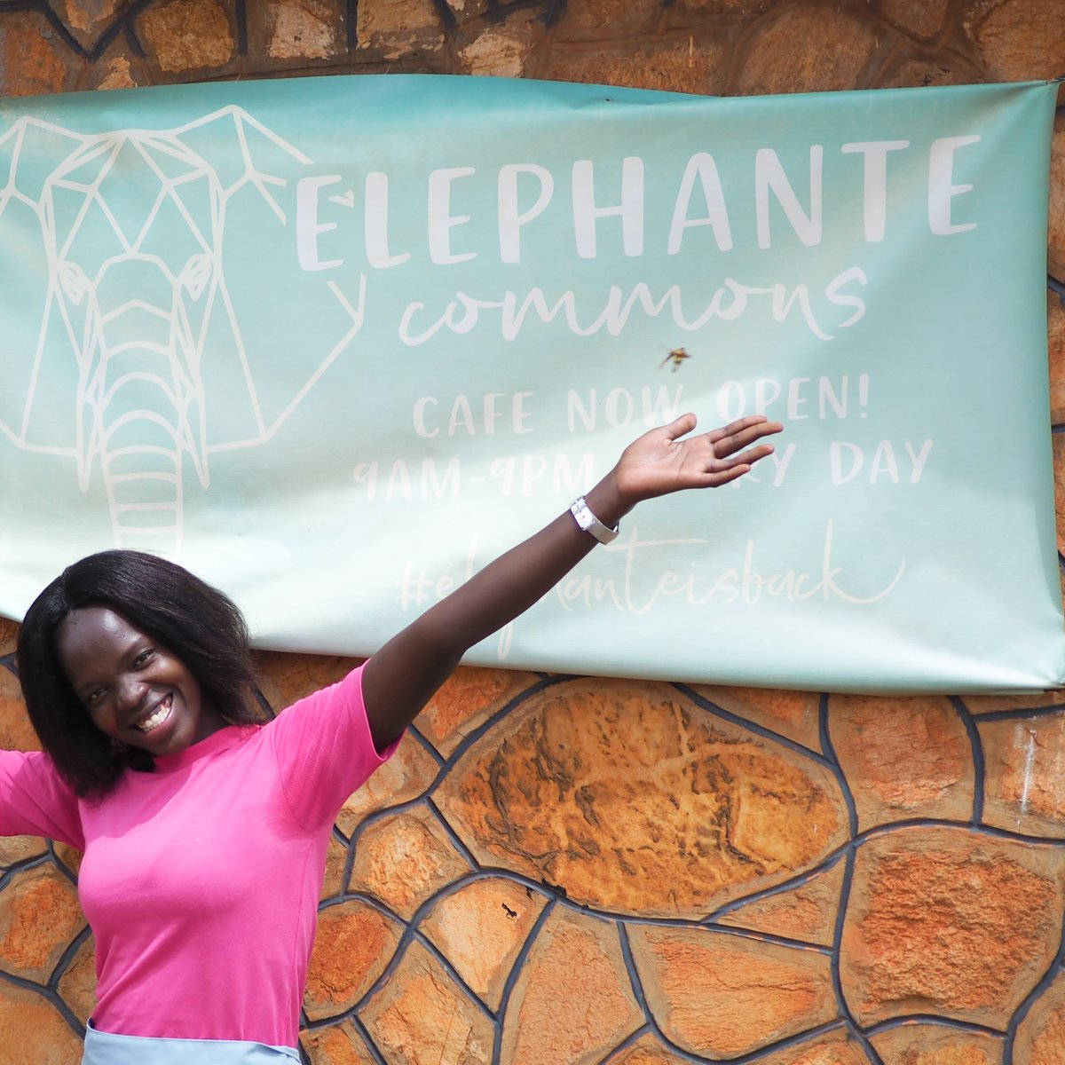 The #perfect space for  accommodating local projects. 
#leaders #community 

This is so exciting, and I want to be a part of helping Elephante grow! ow.ly/Qxee50C6X5i to join the story.