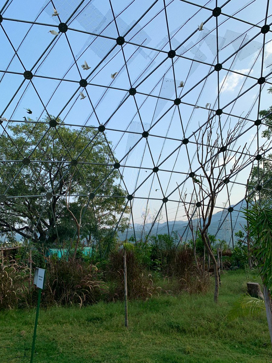 The Fly High Indian Aviary would be a treat for those interested in birdwatching. Come to Kevadia and visit this aviary, which is a part of the Jungle Safari Complex. It will be a great learning experience. https://t.co/RiZjDTcfOx