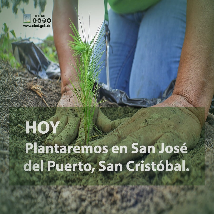 ETED_RD's tweet photo. Reforestar 🌱es importante porque ayuda a producir oxígeno en nuestro planeta y así abastecer a los seres vivos que en él habitan.  

Nuestros colaboradores se unen hoy a la jornada de reforestación en San José del Puerto, Villa Altagracia, provincia San Cristóbal. https://t.co/DYIr5Nt8PN