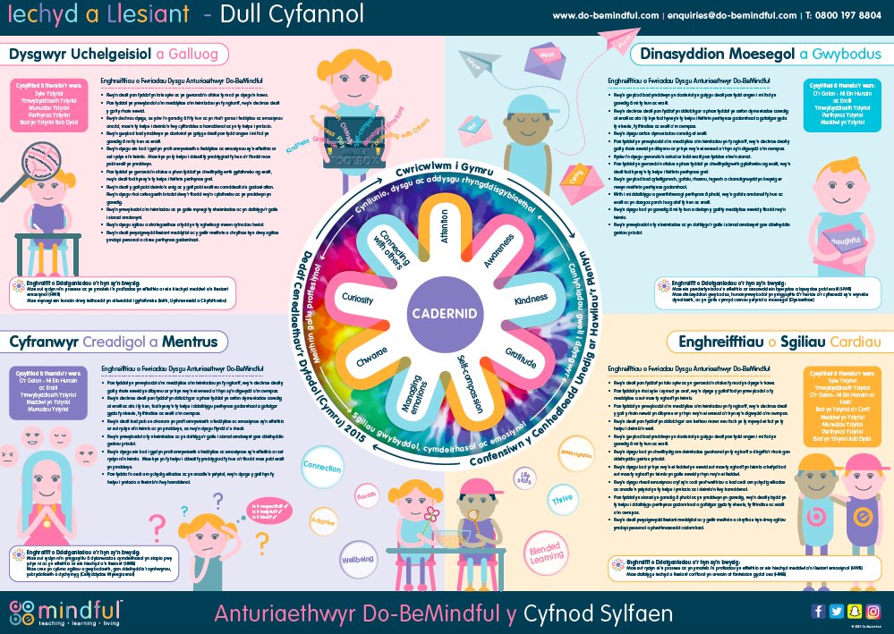 Yay! Our Welsh Posters have arrived for #Earlyyears #Foundationphase #KS2 what do you think? #currciulumforwales #fourpurposes @MillbrookP @childcomwales @SwanseaCouncil @IDS3to18 @LindsWatkins @EducationWales @K_L_Edwards @CSCJES @SouthdownCP