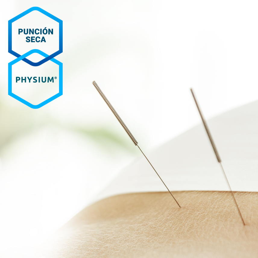 Physium's tweet photo. Con descompresión PHYSIUM se palpa con mayor facilidad los reductos de tensión para una punción más certera y con menos dolor.

#physium #physiumsport #fisioterapia #fisioterapeuta #puncionseca https://t.co/qoOeMzWH2a
