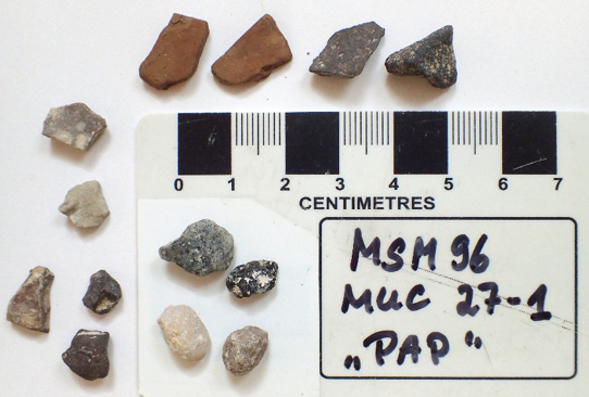 GEOMAR_en's tweet photo. In the mud of the deep-sea floor the expedition #MSM96 also finds small pebbles. How do they get there? You can find the answers  in the expedition #blog: https://t.co/1tOOzjTc3y
#seafloor #seabed #deepsea @timmschoening https://t.co/jZ3UdSwsFq