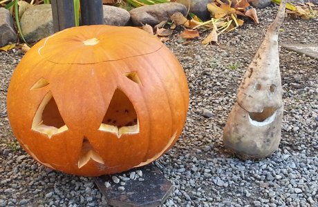 Alla Helgons dag har blivit Halloween, sockerbetslyktor har blivit pumpalyktor och alla stora familjeträffar har blivit social distansering. 

Alzheimer Sverige önskar alla en annorlunda men trevlig Alla Helgons helg/ Halloween!