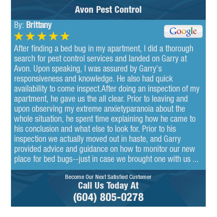 avonpestcontrol's tweet photo. 5 Star: Brittany "After finding a bed bug in my apartment, I did a thorough search for pest control services..." https://t.co/s7wsJoGrXs https://t.co/hbXo08pU9a