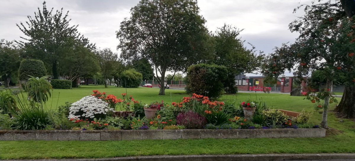 Louth County Council tweet media