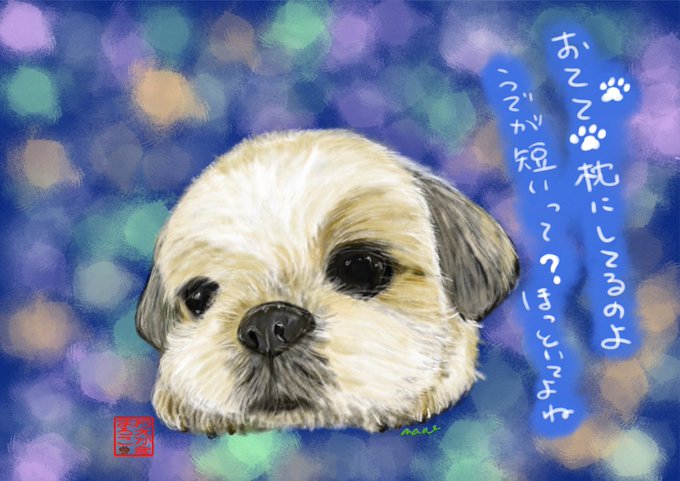 シーズー大好きのtwitterイラスト検索結果 シーズー大好きのtwitterイラスト検索結果
