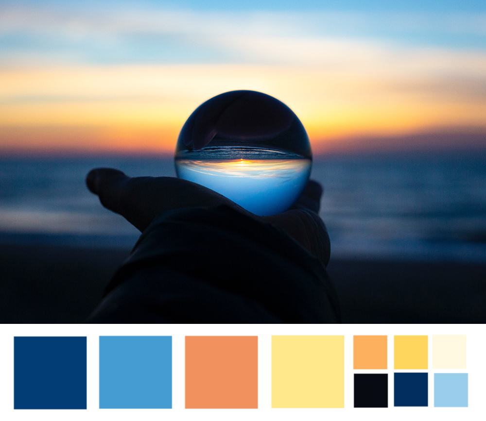 Kerry at Motacilo tweet media