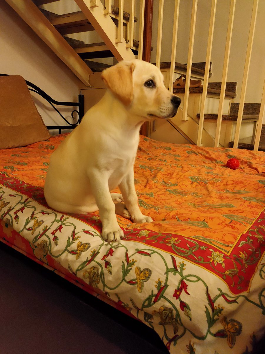 Pheww...These nail biting IPL matches keep me on my toes! 😛😛
<a href="/ESPNcricinfo/">ESPNcricinfo</a> <a href="/cricketaakash/">Aakash Chopra</a> <a href="/bhogleharsha/">Harsha Bhogle</a> <a href="/cricbuzz/">Cricbuzz</a>