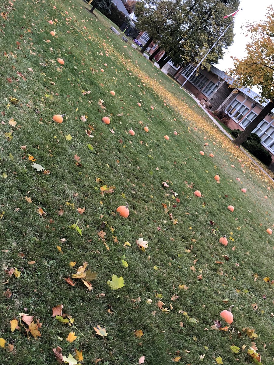 Shannon Lee(Parkins) tweet media