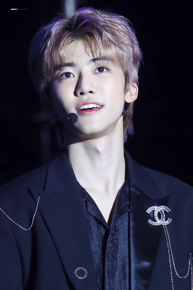 an actual bunny, but make it a PREDATOR BUNNY. it's a well known fact his canines are SO POINTY,,, if he doesn't dress up as a vampire for halloween I will be crying bc of another loss,,, na jaemin, be honest. do you file your canines every night before you sleep?