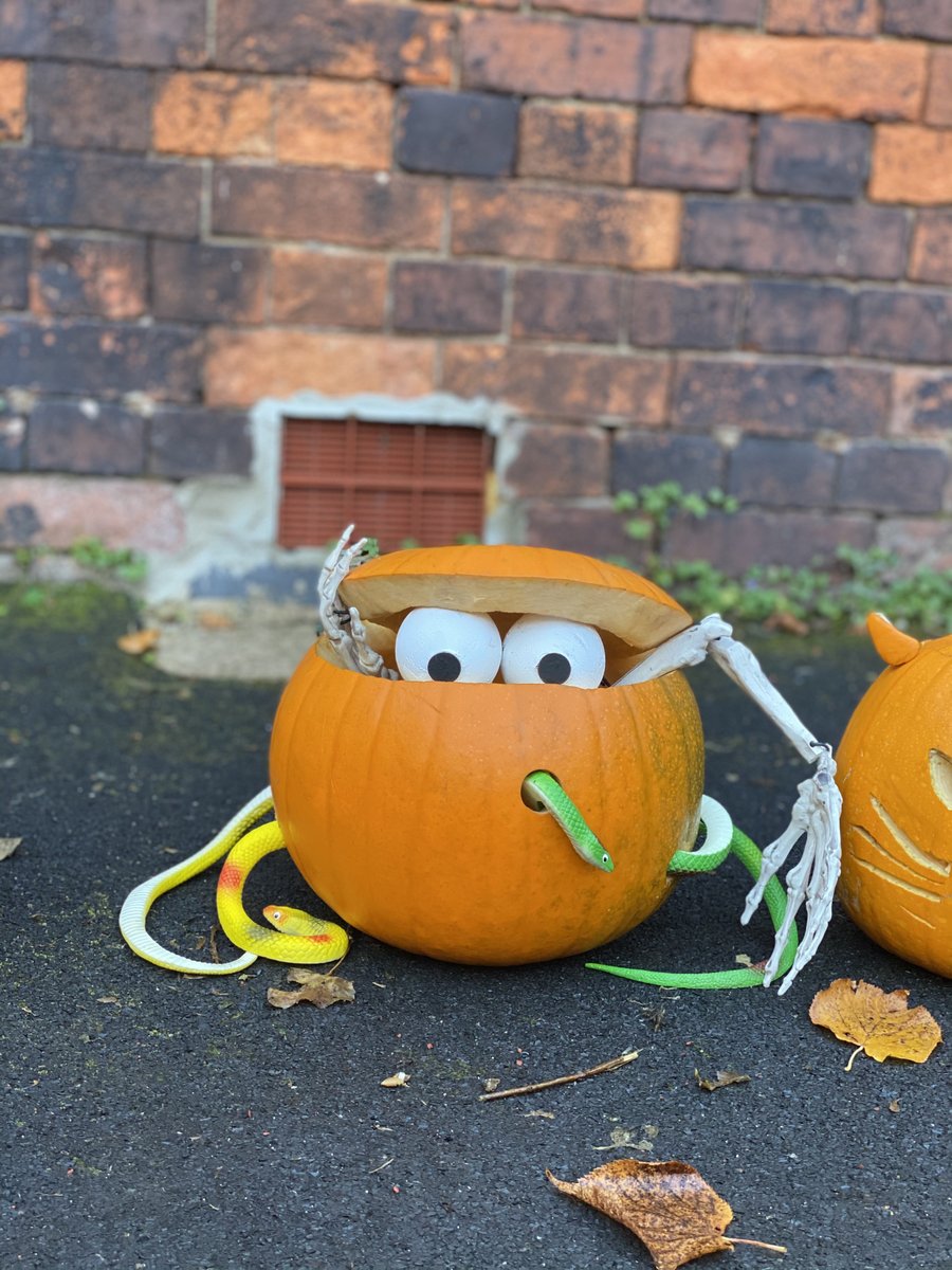 Our PTA organised a fangtastic day of pumpkin carving #fancydress 
🎃 
If you have been doing #pumpkincarving or are getting into the spooky spirit be sure to tag &amp; share! #HappyHalloween everyone!
🎃 
#family #horror #october #art #halfterm #autumn #love #dressup