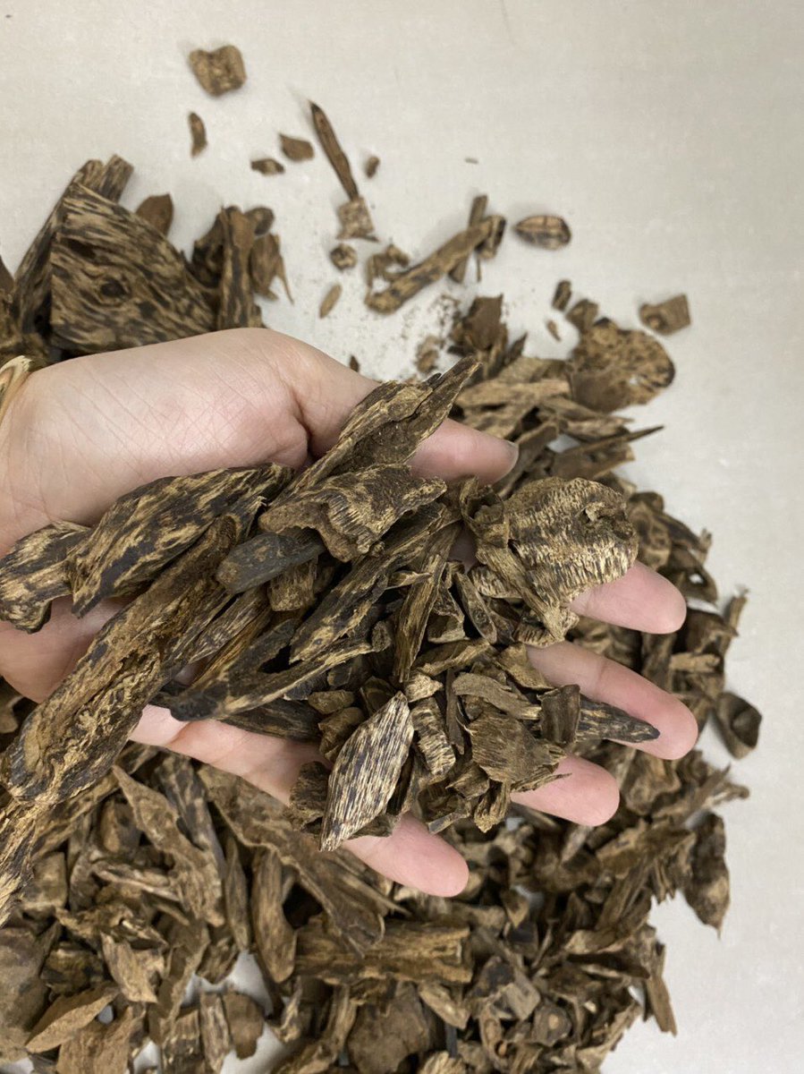 dantruongoud's tweet photo. Super A #philippines, rich oil smell sweets!
WHATSAPP:+84328.341.092
#风水香 #trầmhương #Oud #اللبان #aloewood #زيت_اللبان_العطري #oudoil #mukkaoud #omanoud #dohaoud #vietnamoud #kuwaitoud #saudiarabiaoud #manlinauoud #uaeoud #usaoud #dubaioud #alainoud #quataroud #yamanoud https://t.co/UjPzRvN4fh