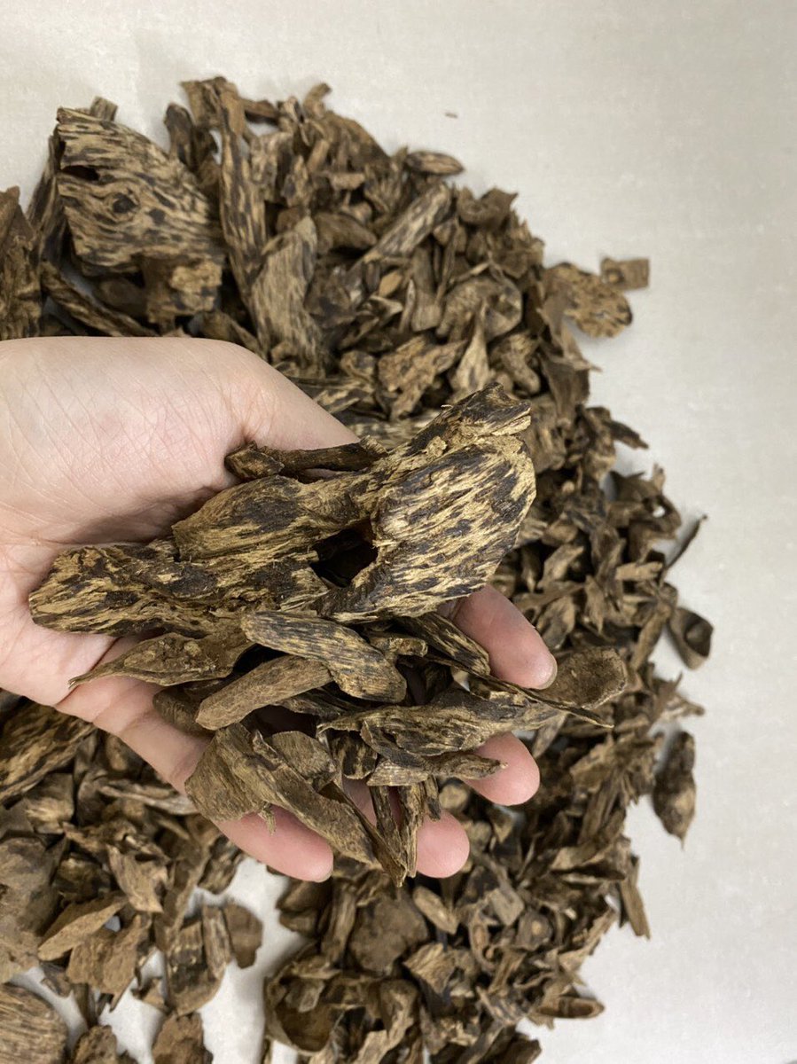dantruongoud's tweet photo. Super A #philippines, rich oil smell sweets!
WHATSAPP:+84328.341.092
#风水香 #trầmhương #Oud #اللبان #aloewood #زيت_اللبان_العطري #oudoil #mukkaoud #omanoud #dohaoud #vietnamoud #kuwaitoud #saudiarabiaoud #manlinauoud #uaeoud #usaoud #dubaioud #alainoud #quataroud #yamanoud https://t.co/UjPzRvN4fh