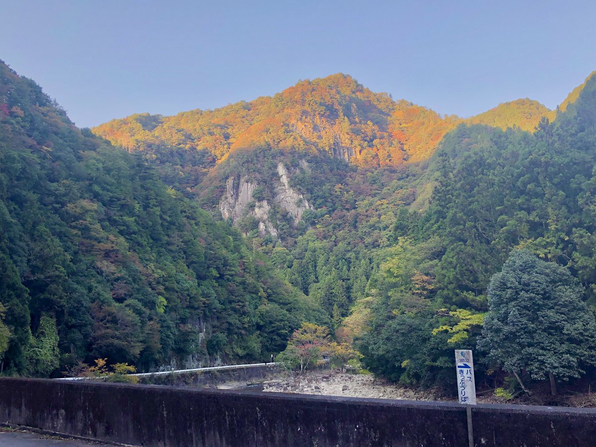 曽爾村観光協会 ぬるべの郷 曽爾村紅葉情報 場所によっては見頃です 屏風岩公苑の山桜の紅葉は見頃となっております