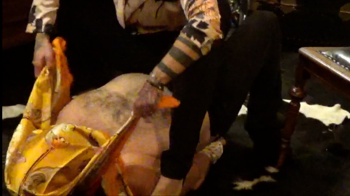silkbound_manu's tweet photo. swiss-domina lady nicole banshee - with a poor silk slave! download wonderful clips https://t.co/QbFwrrdG1d #scarflovers #dominatedmen #scarflady #scarfbondage https://t.co/UzGLKOCwsY