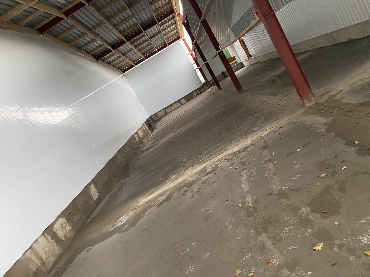 Anthony Litchfield tweet media