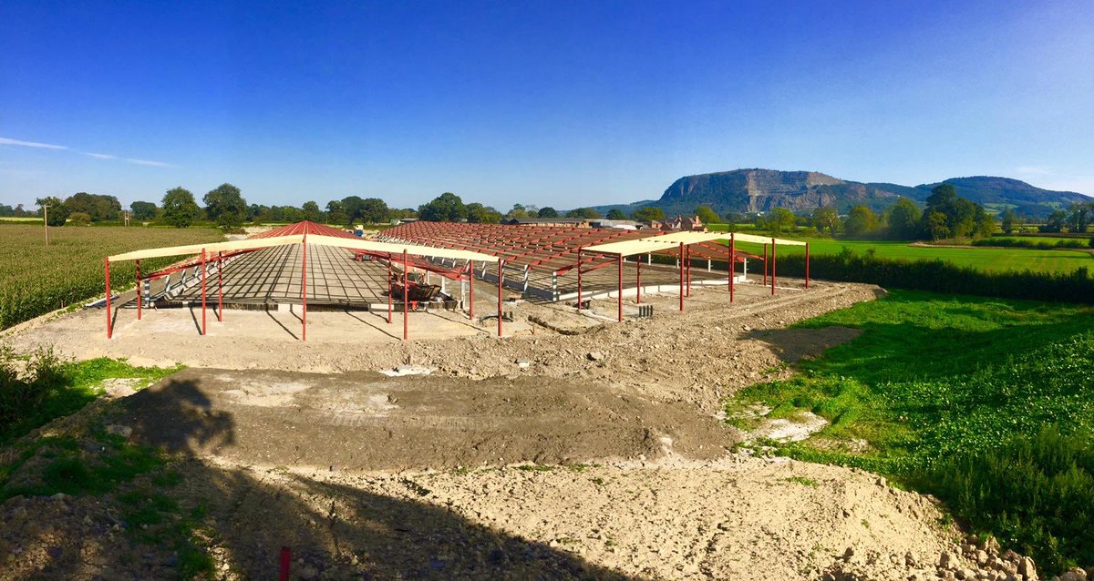 Anthony Litchfield tweet media